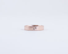 Birds in Flight in Rose Gold - Medium